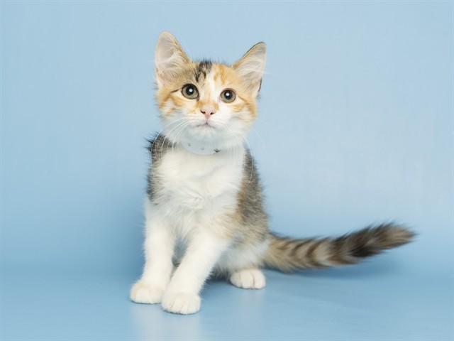 Winifred