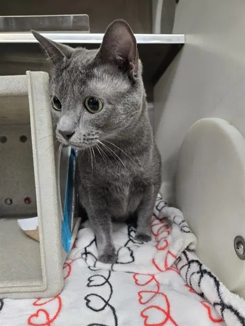 Luna