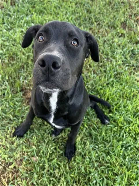 Luna