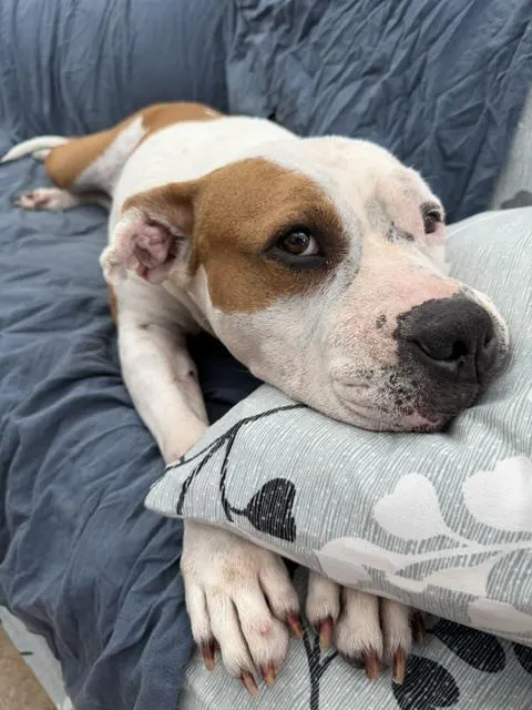 Chloe
