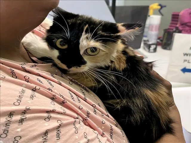 Nina