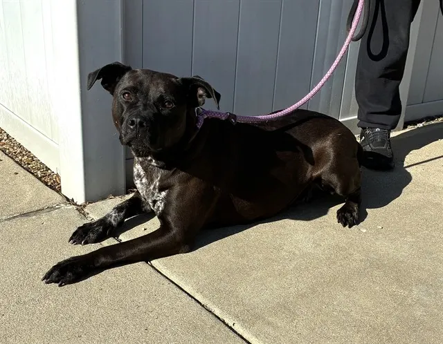 Nala