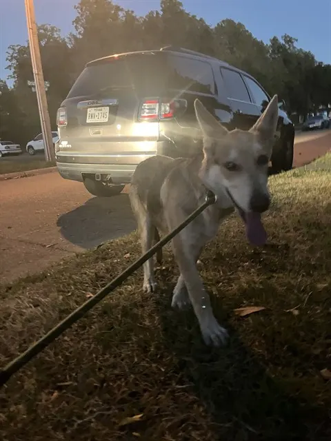 Duke