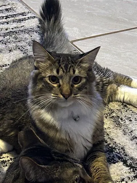 Thomas