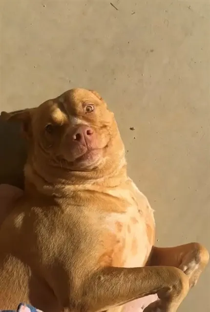 Chance