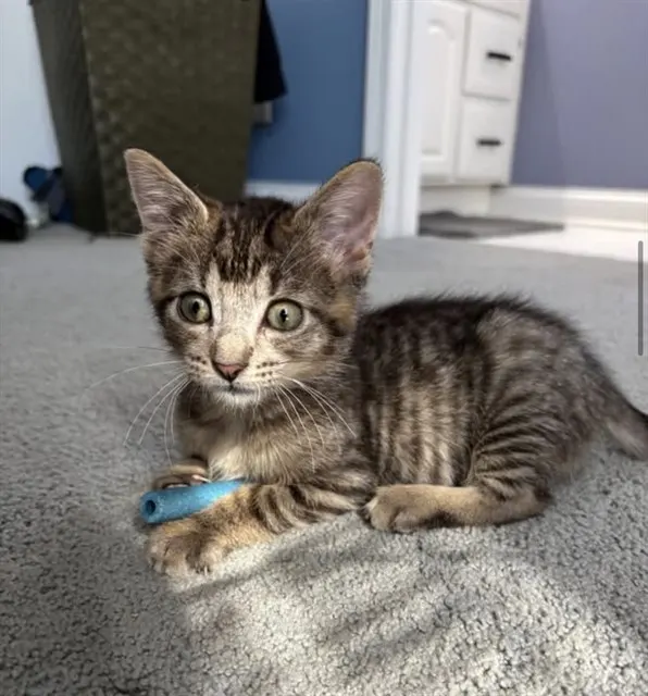 Charlie