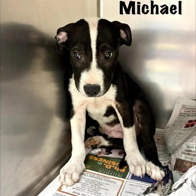 Michael