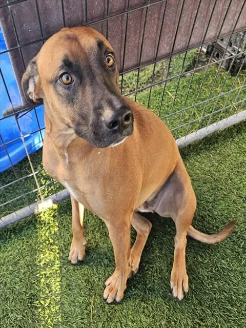 Milo