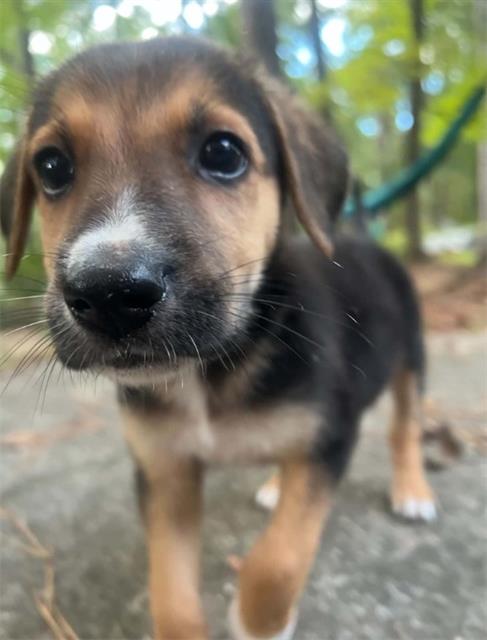 Bruce