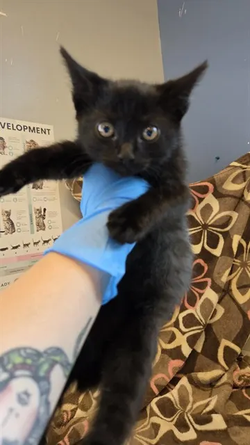 Eek!!!