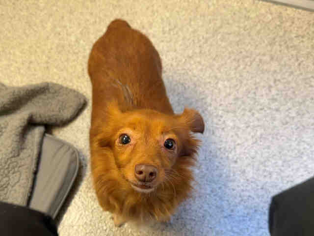 Winifred