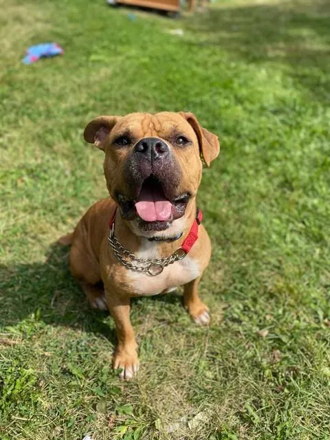 Mr Wrinkles