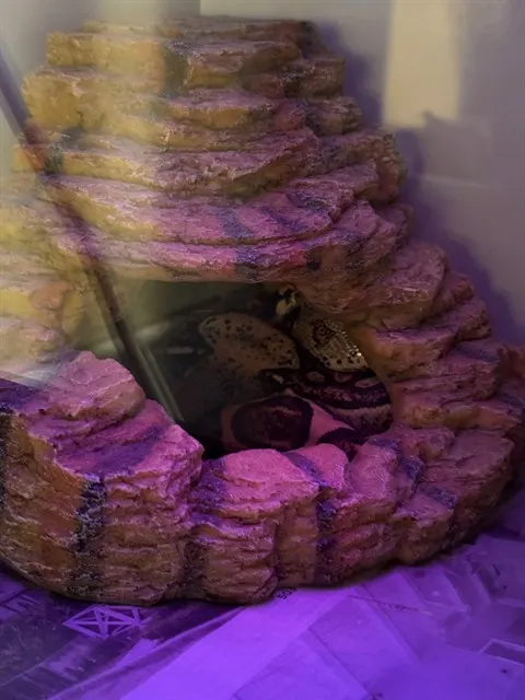 Houdini