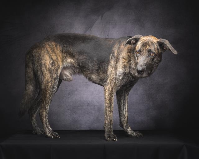 Max