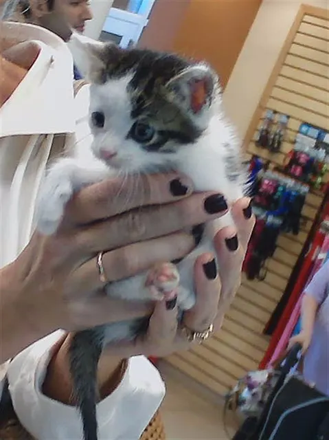 Oliver