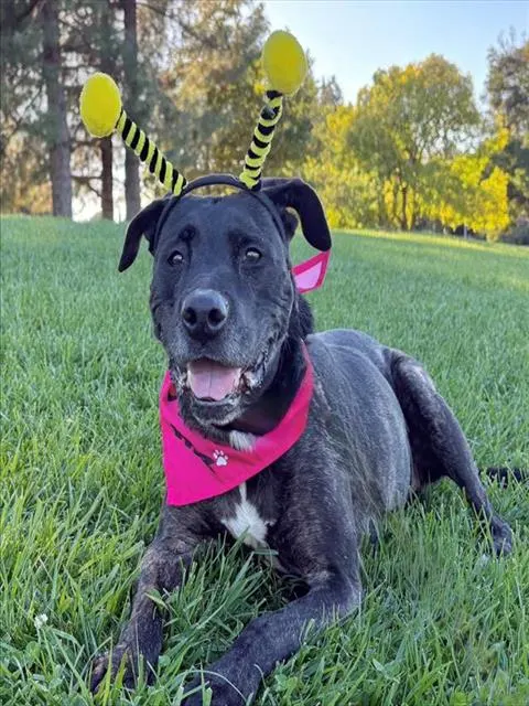 Coco