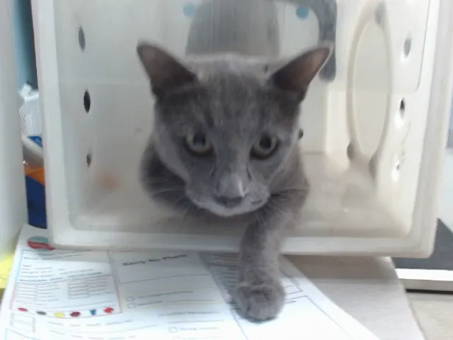Mia
