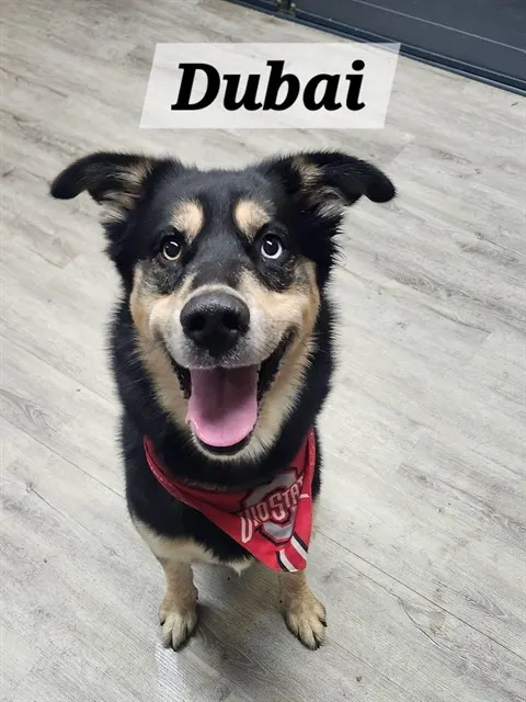 Dubai
