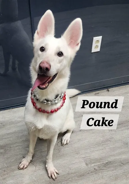 Poundcake