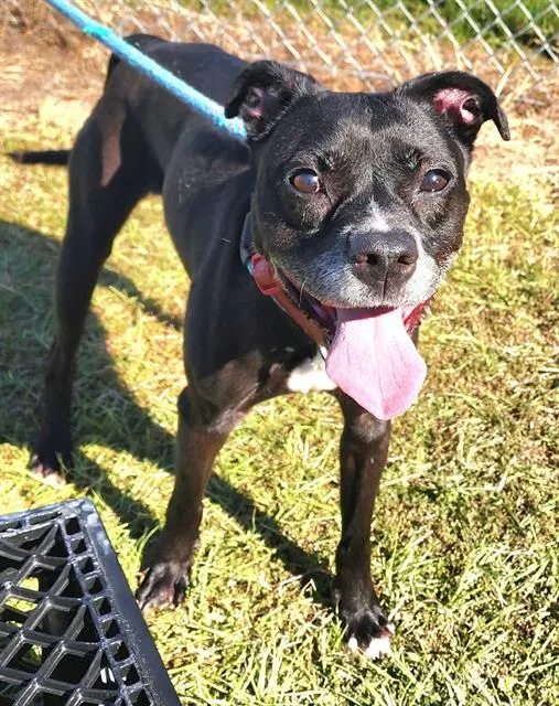 Missy Girl