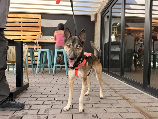 Jax