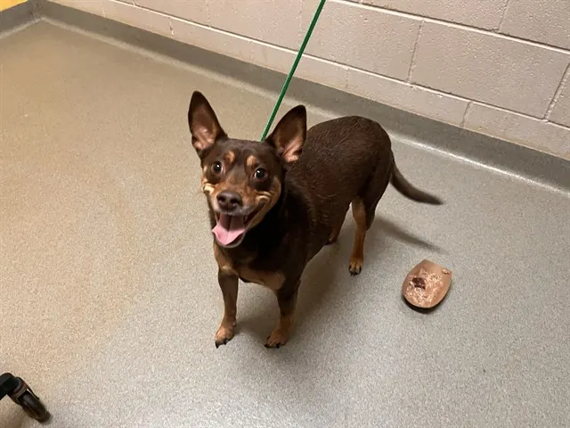 Milo