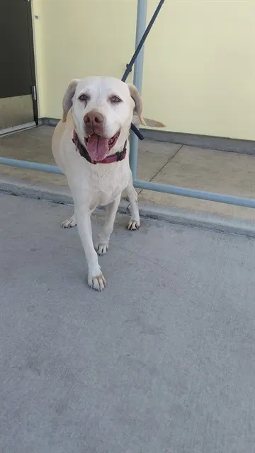 Marley