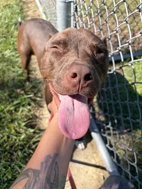 Bella