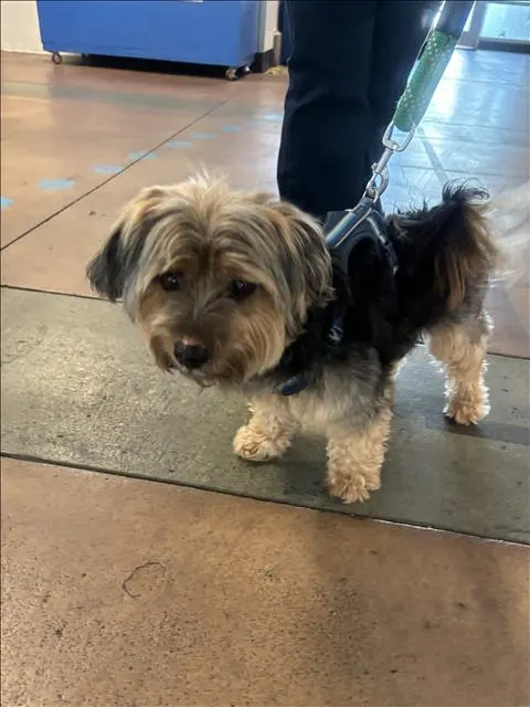 Paco