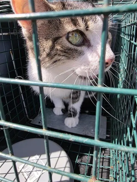 Buster
