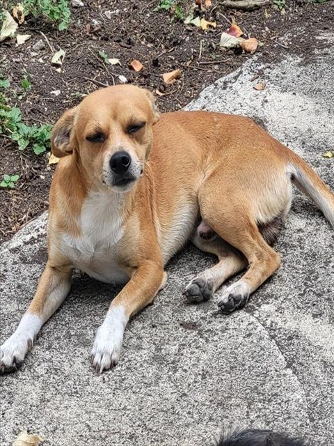 Winnie