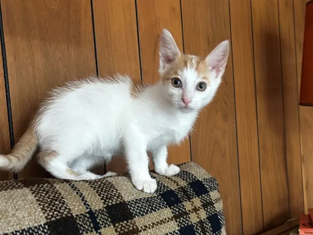 Leroy