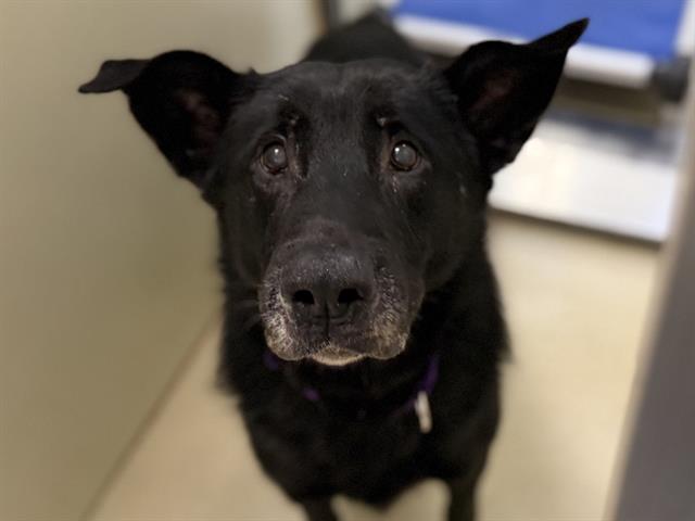 Norey