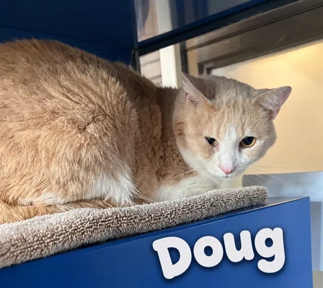 Doug