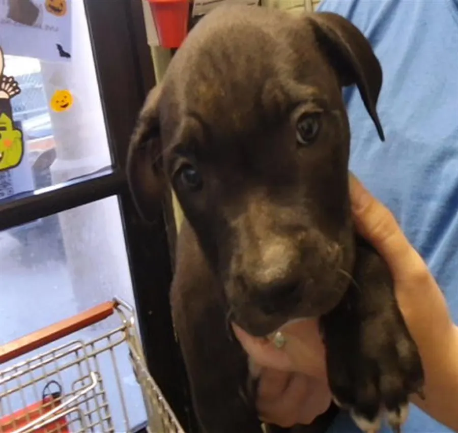 Fragile