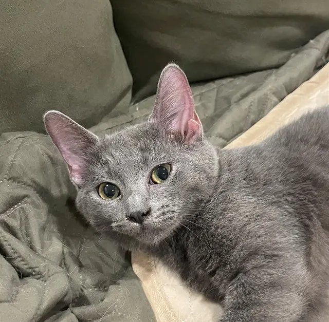Pixel
