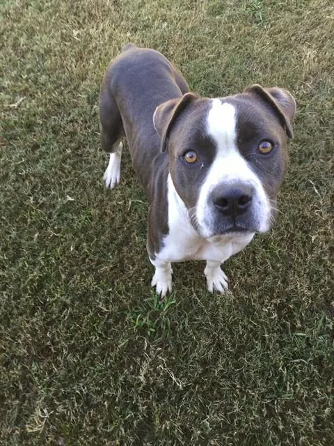 Elsie