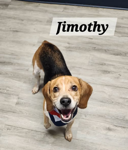 Jimothy