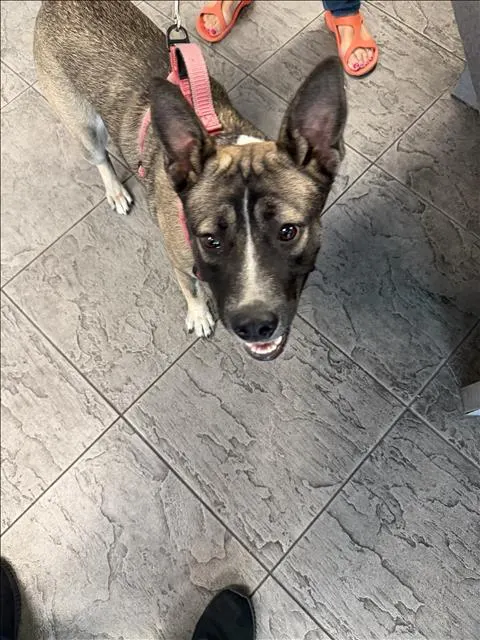 Ethina