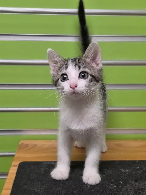 Quinn