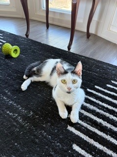 Emmy