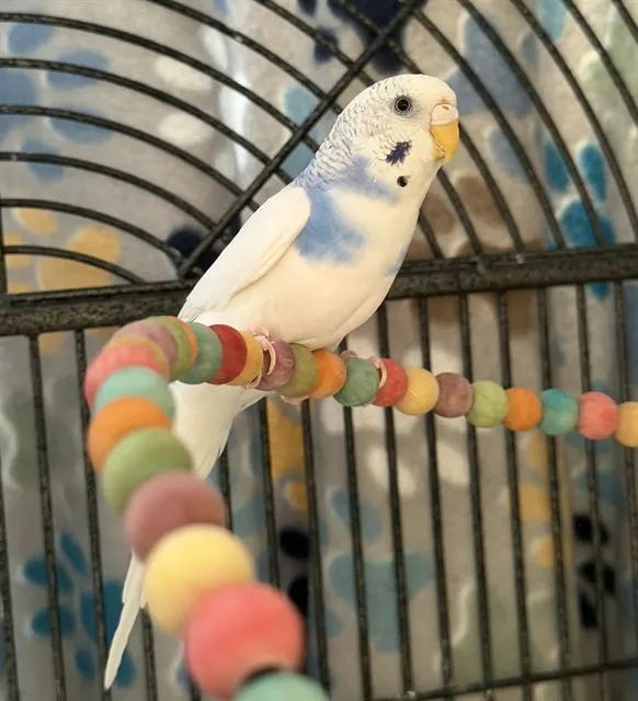 Tweaty
