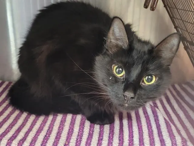 Fiona
