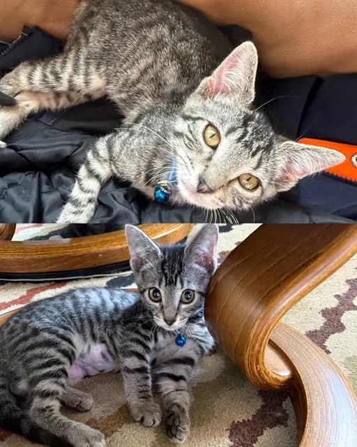 Binx