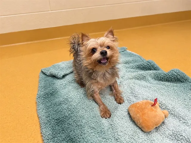 Reese