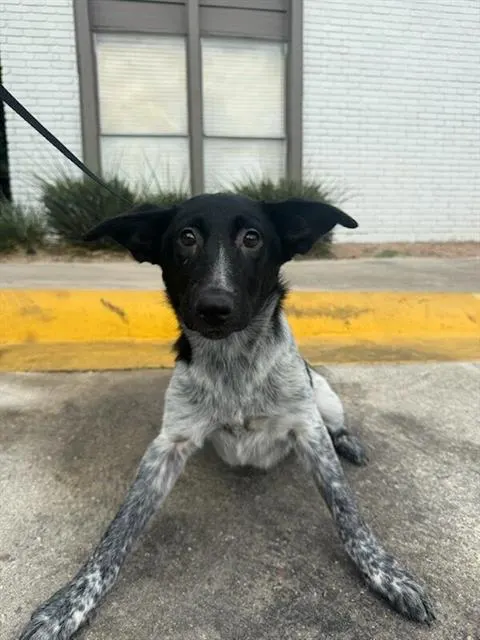 Winifred