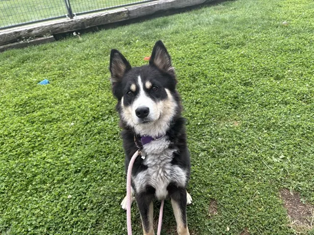 Yukon