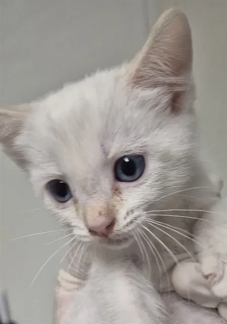 Casper