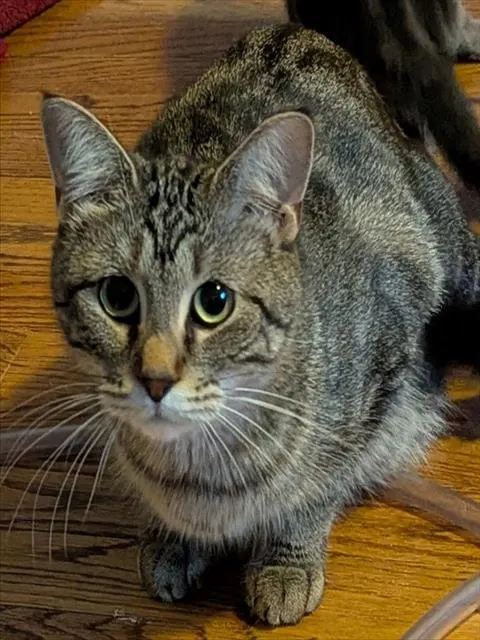 Sabrina