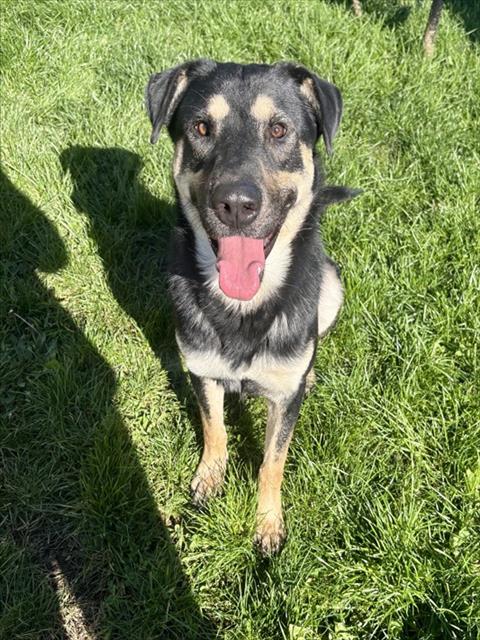 Diego